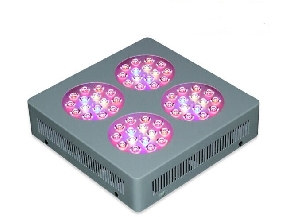 180W 282x282x70mm LEDprincess Grow Light (LP-GL-4R180W3) - www.LEDgrowlight.com.sg