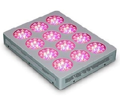 540W 516x402x70mm LEDprincess LED Grow Lights (LP-GL-12R408W3) - www.LEDgrowlight.com.sg