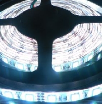 SMD5050 60LED/M IP65/67/68 Strip 14.4W/M (LP-LS-5050FS60A) - www.LEDStrip.com.sg