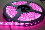 SMD3528 240LED/M DC12/24V 1200LED/Reel (LP-LS-3528FS240) / www.LEDStrip.com.sg